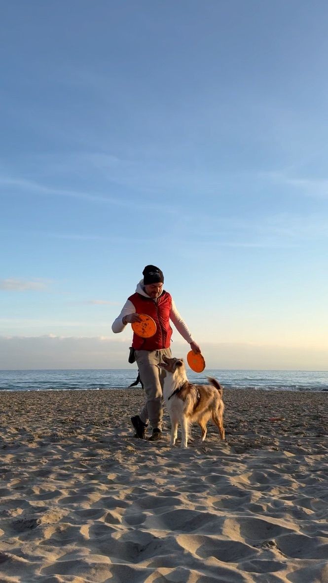 Person with a dog holding frisbees on a sandy beach with the ocean in the background.