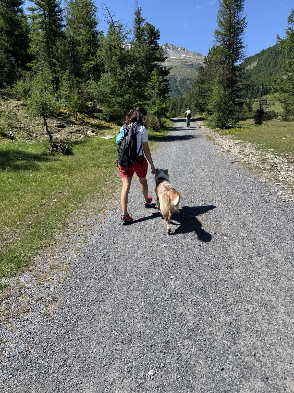 Guapi e la sua compagna percorrono una strada tra i boschi con le montagne sullo sfondo